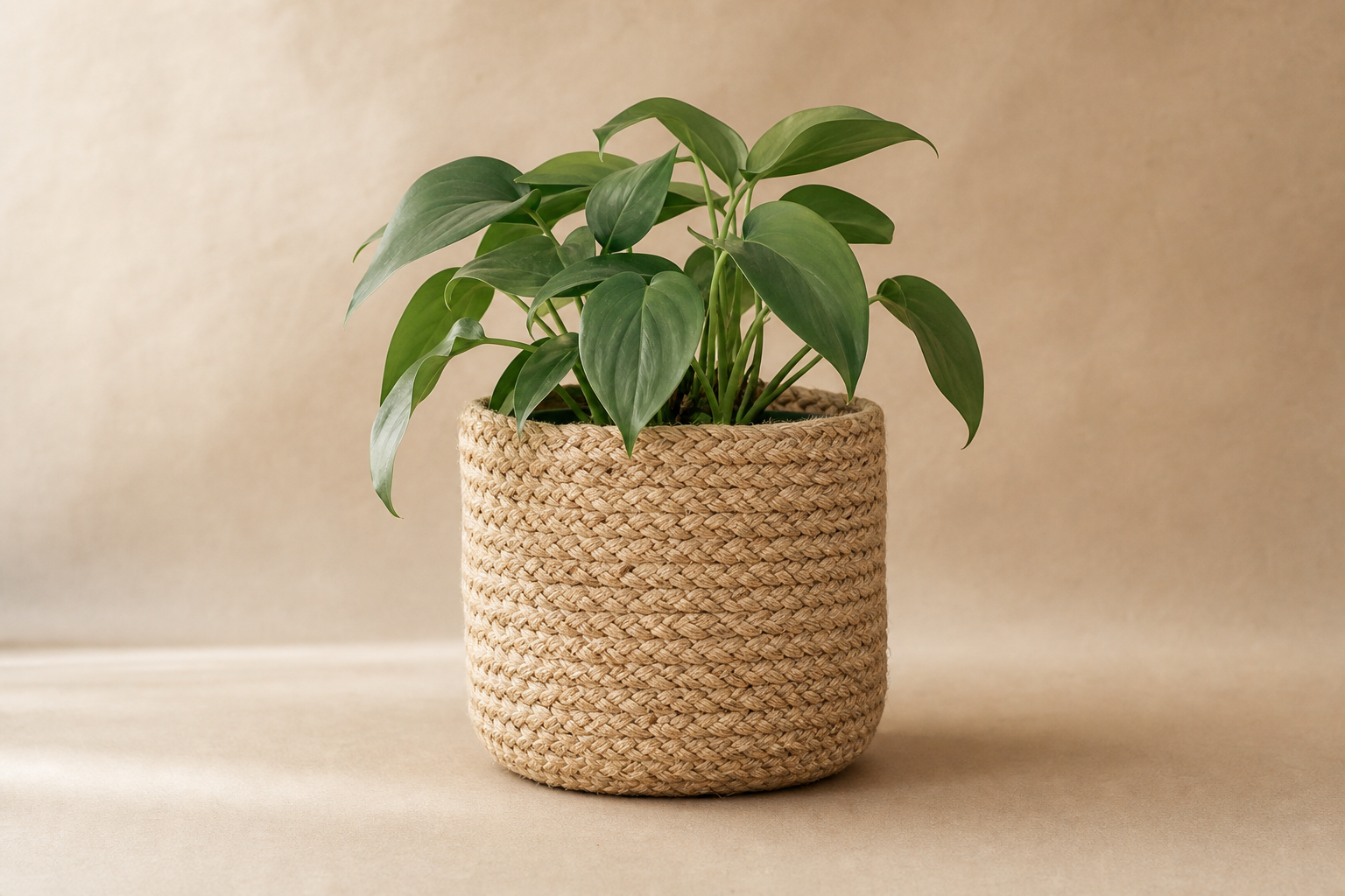 Édition Cache-Pot Jute Tressée — Essentiel